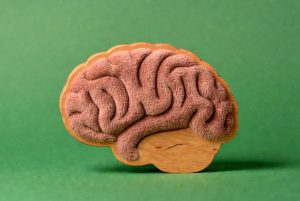 creatividad y envejecimiento cerebral - brain clock estudio 2025