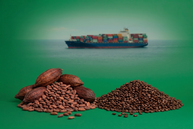 marca-de-café-y-cacao-de-Cusco-—-La-Convención-Quillabamba-exportación-Europa-especialidad